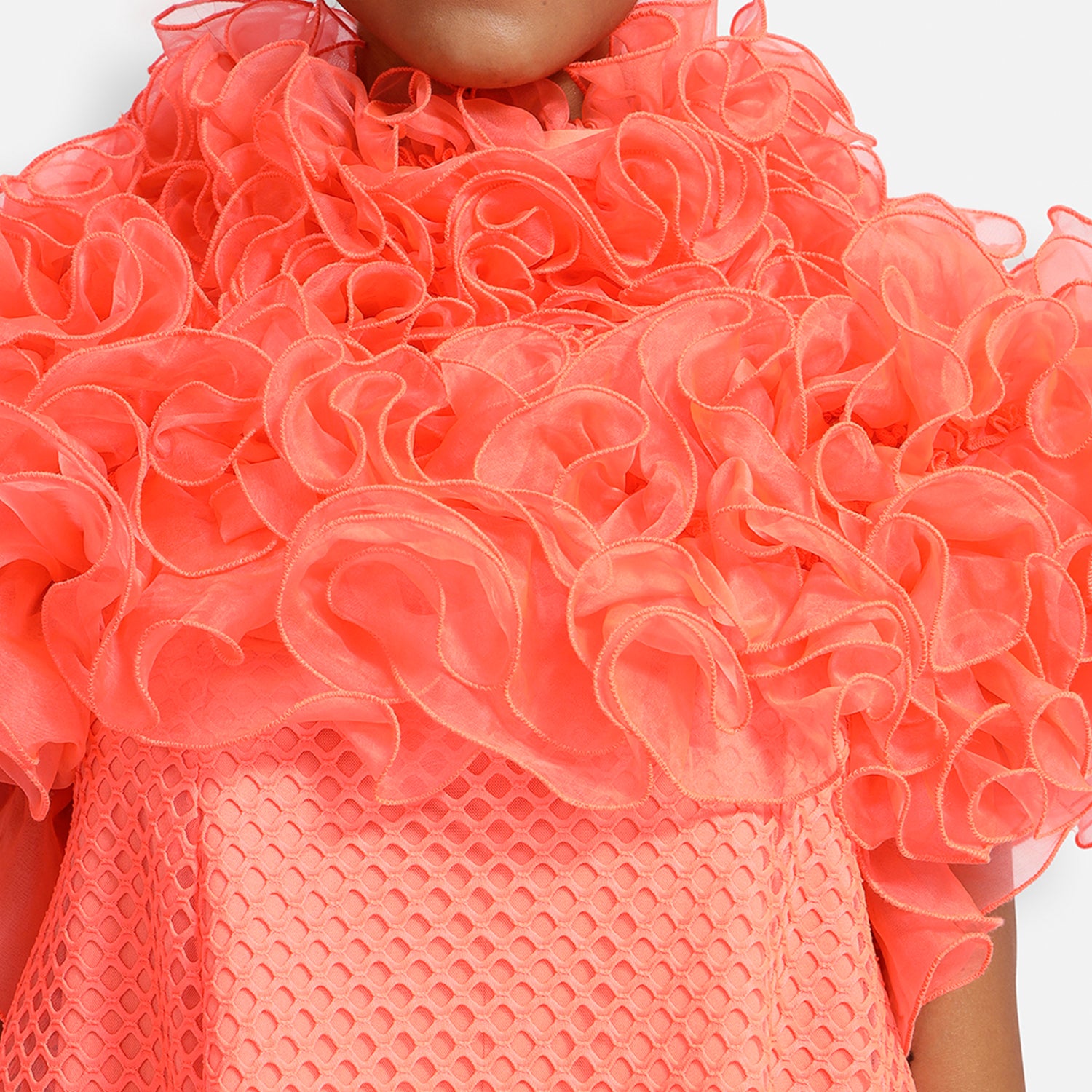 Neon Mesh Net Frill Neck Dress