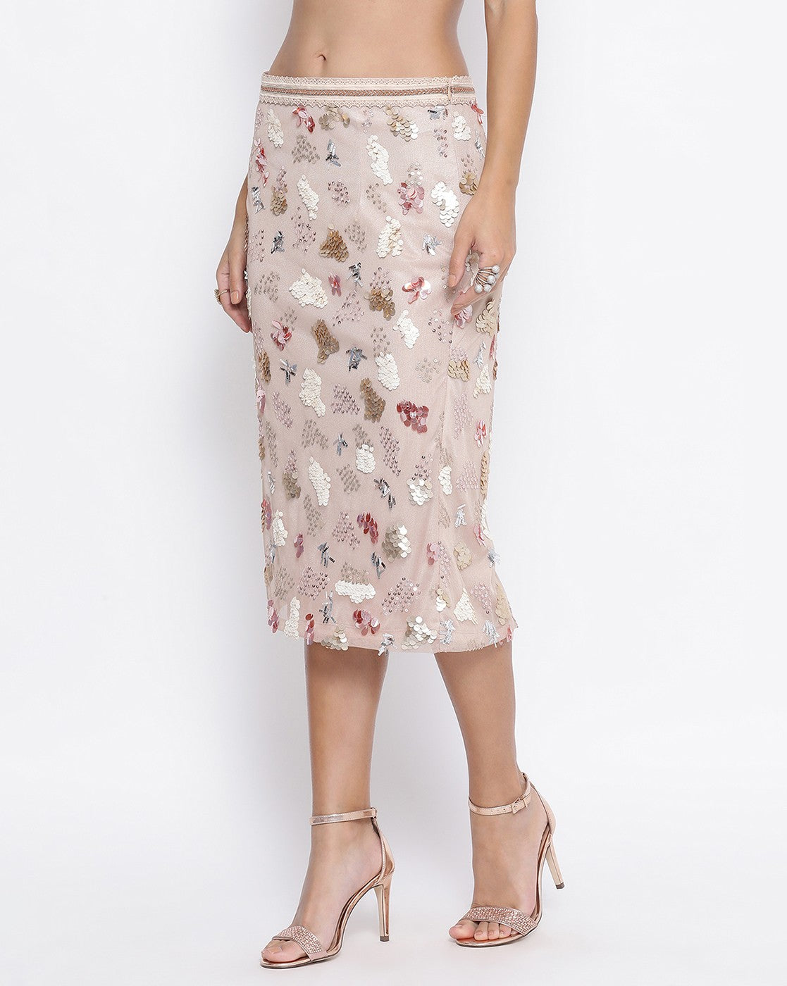 Beige Net Skirt With Multicoloured Embroidery